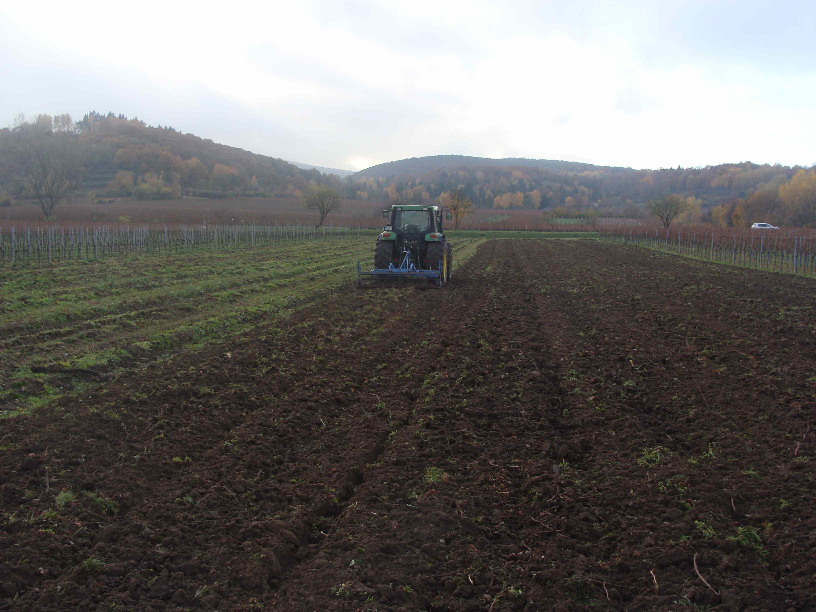 Grubbern - Rebschule Müller