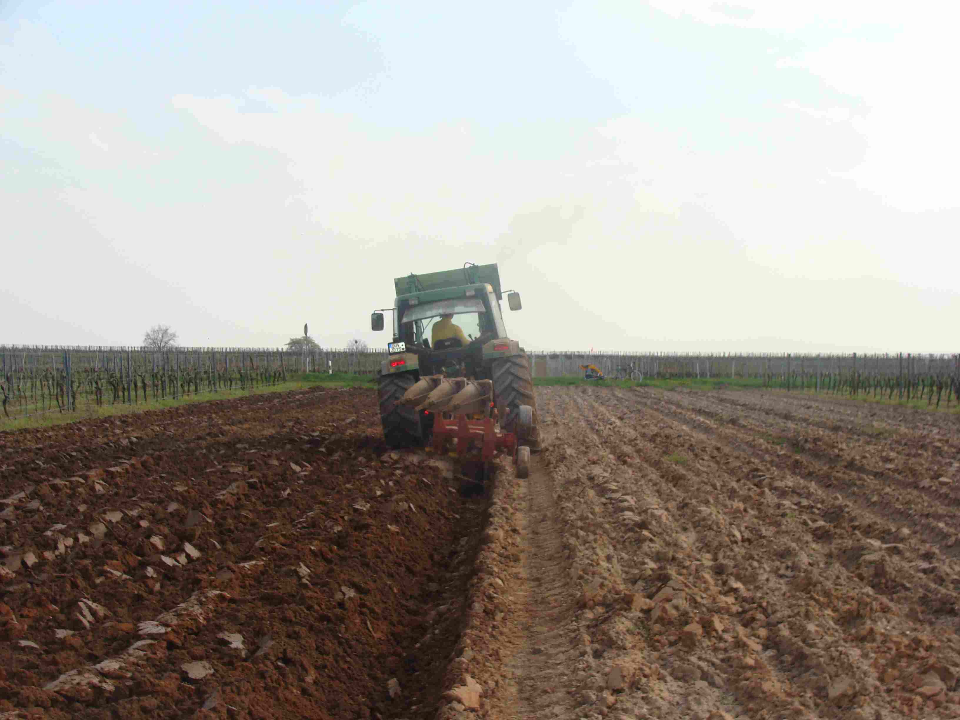 Pflügen - Rebschule Müller
