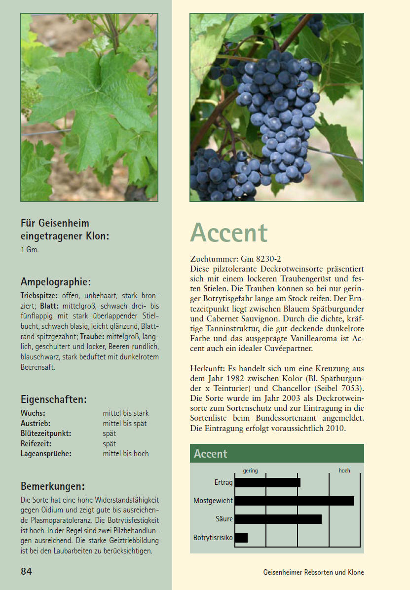 Accent - Geisenheim