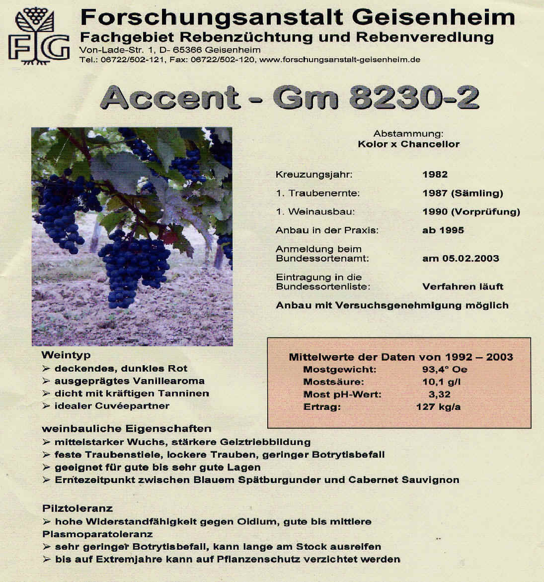 Accent