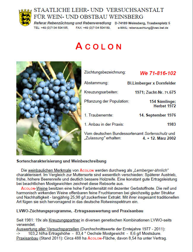 Acolon - Weinsberg
