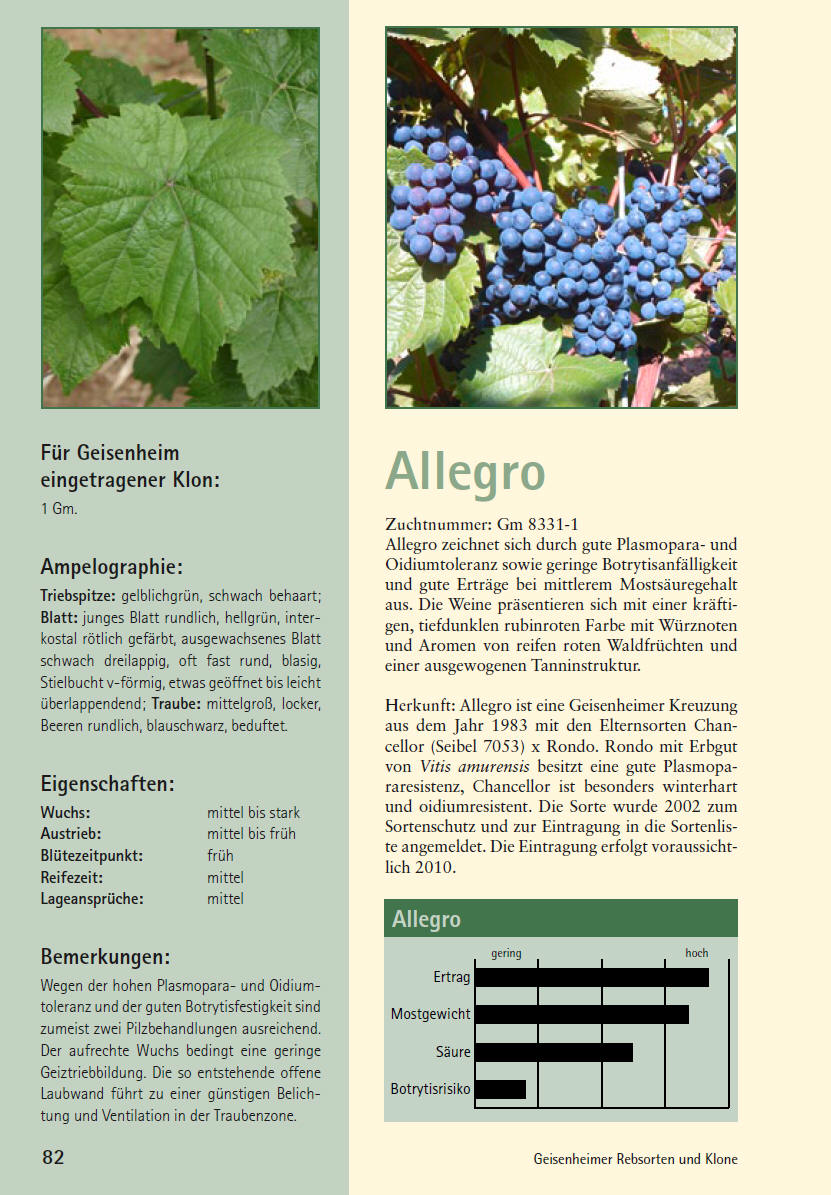 Allegro - Geisenheim