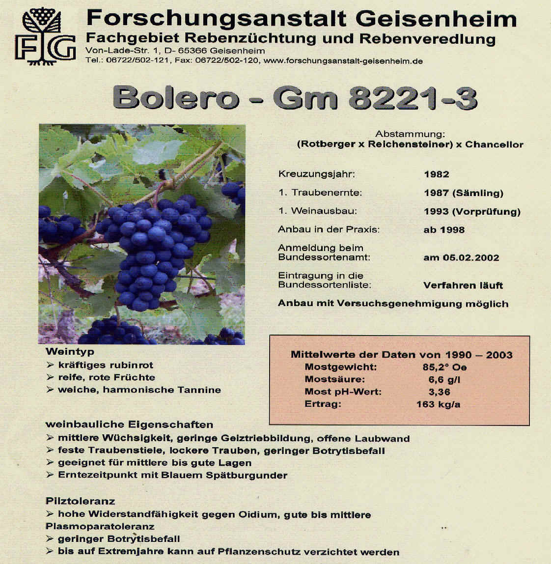 Bolero