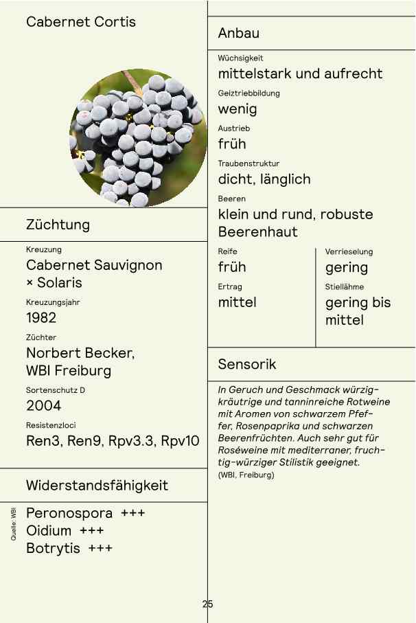 VIVI Cabernet Cortis