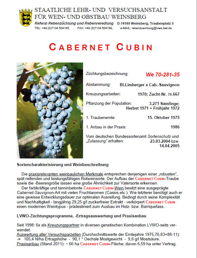 Cabernet_Cubin - Rebschule Müller