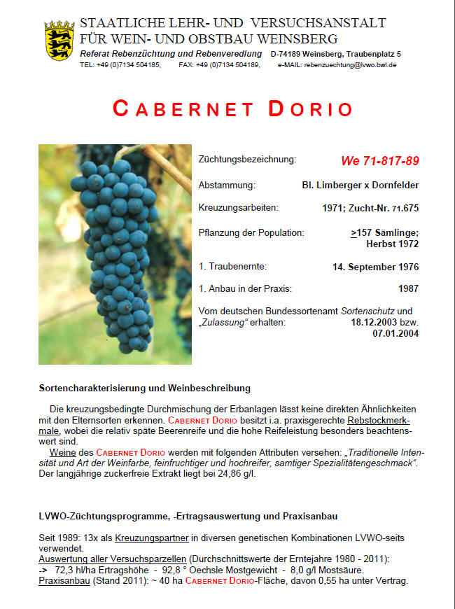 Cabernet Dorio - Rebschule Müller