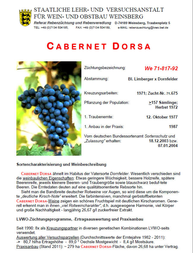 Cabernet Dorsa - Rebschule Müller