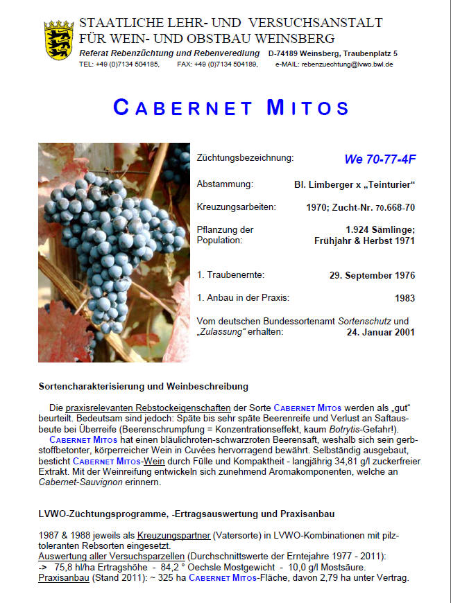 Cabernet Mitos - Rebschule Müller