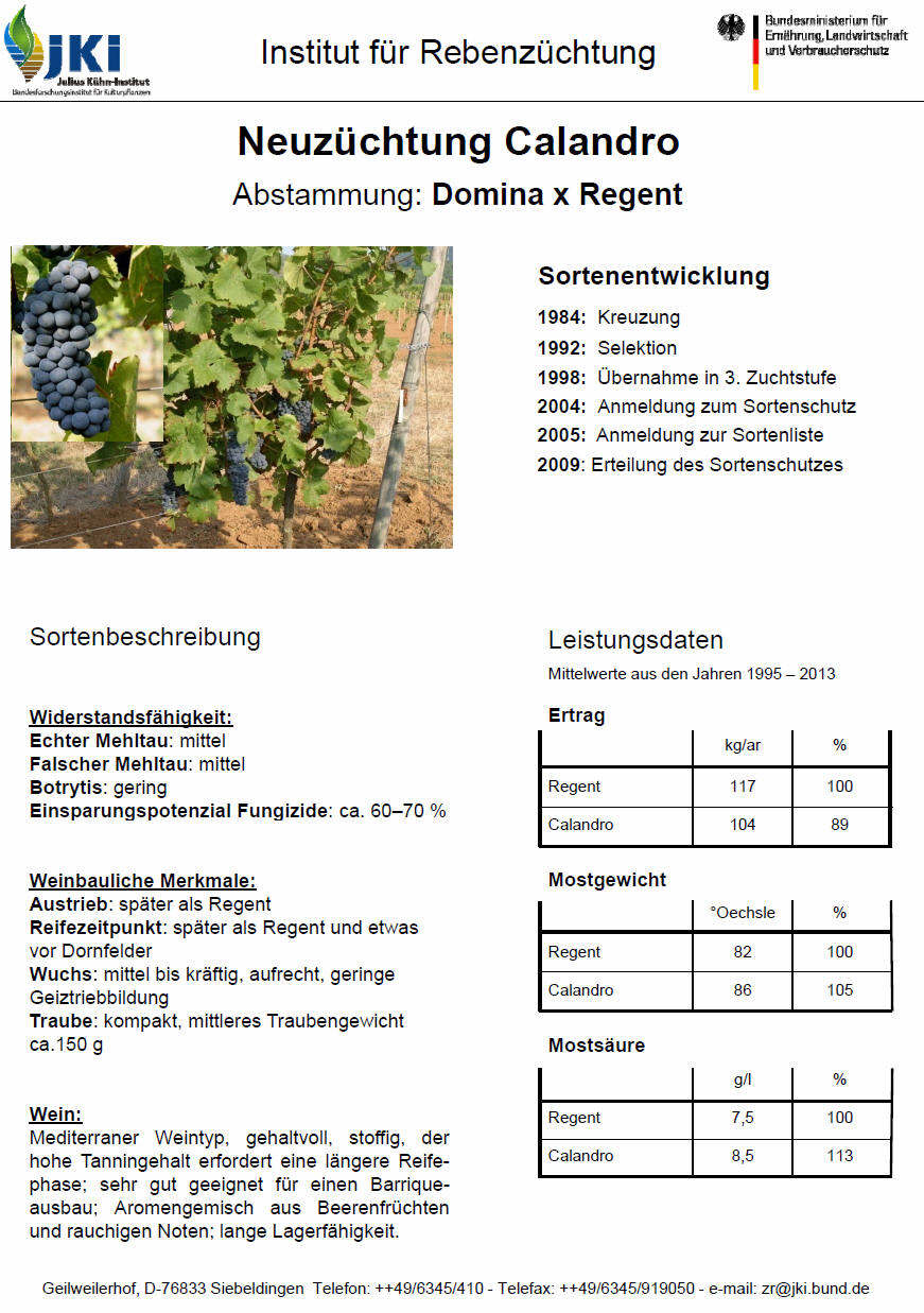 Calandro - Rebschule Müller