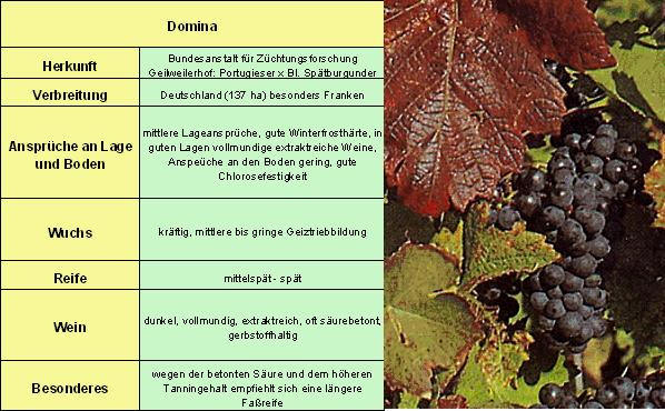 Domina - Rebschule Müller