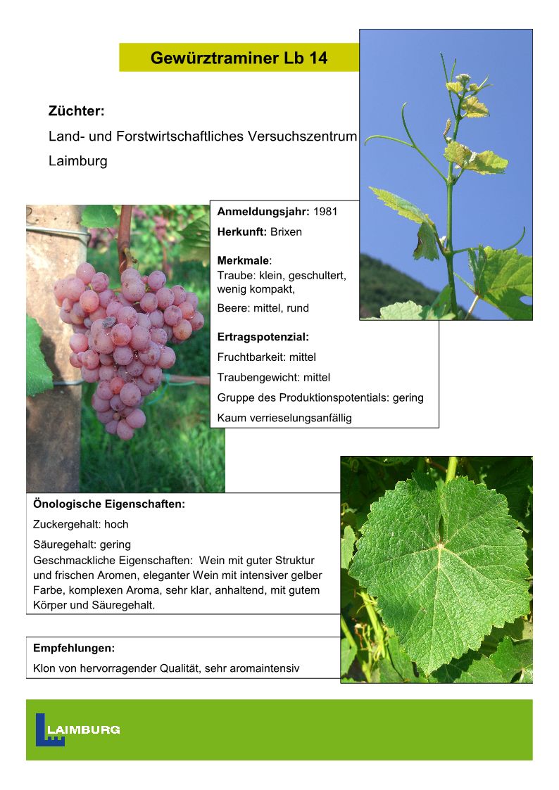 Gewürztraminer Lb14