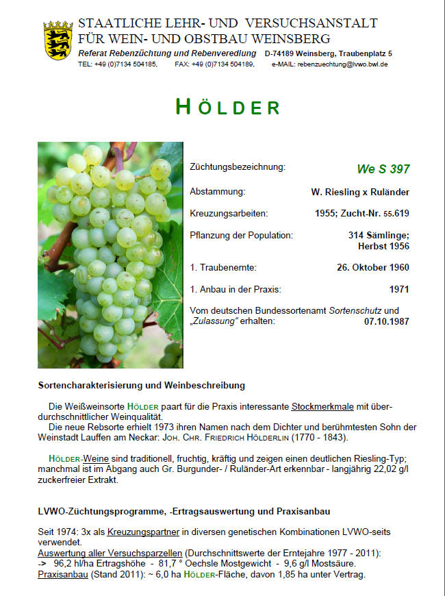 Hölder - Rebschule Müller