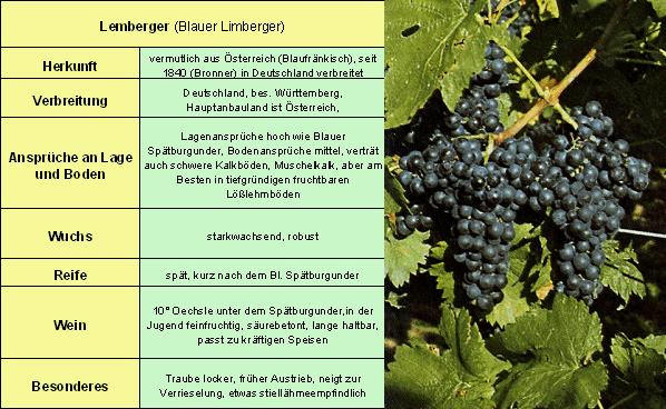 Lemberger - Rebschule Müller