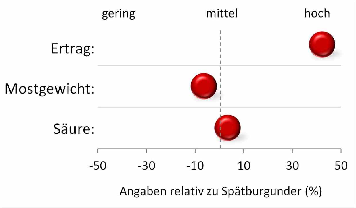Levitage - Rebschule Müller