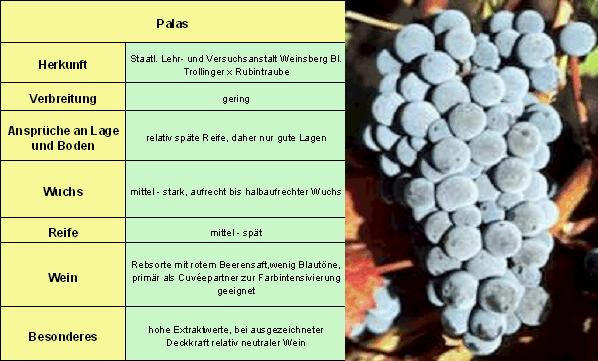 Palas - Rebschule Müller