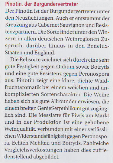Pinotin - Rebschule Müller