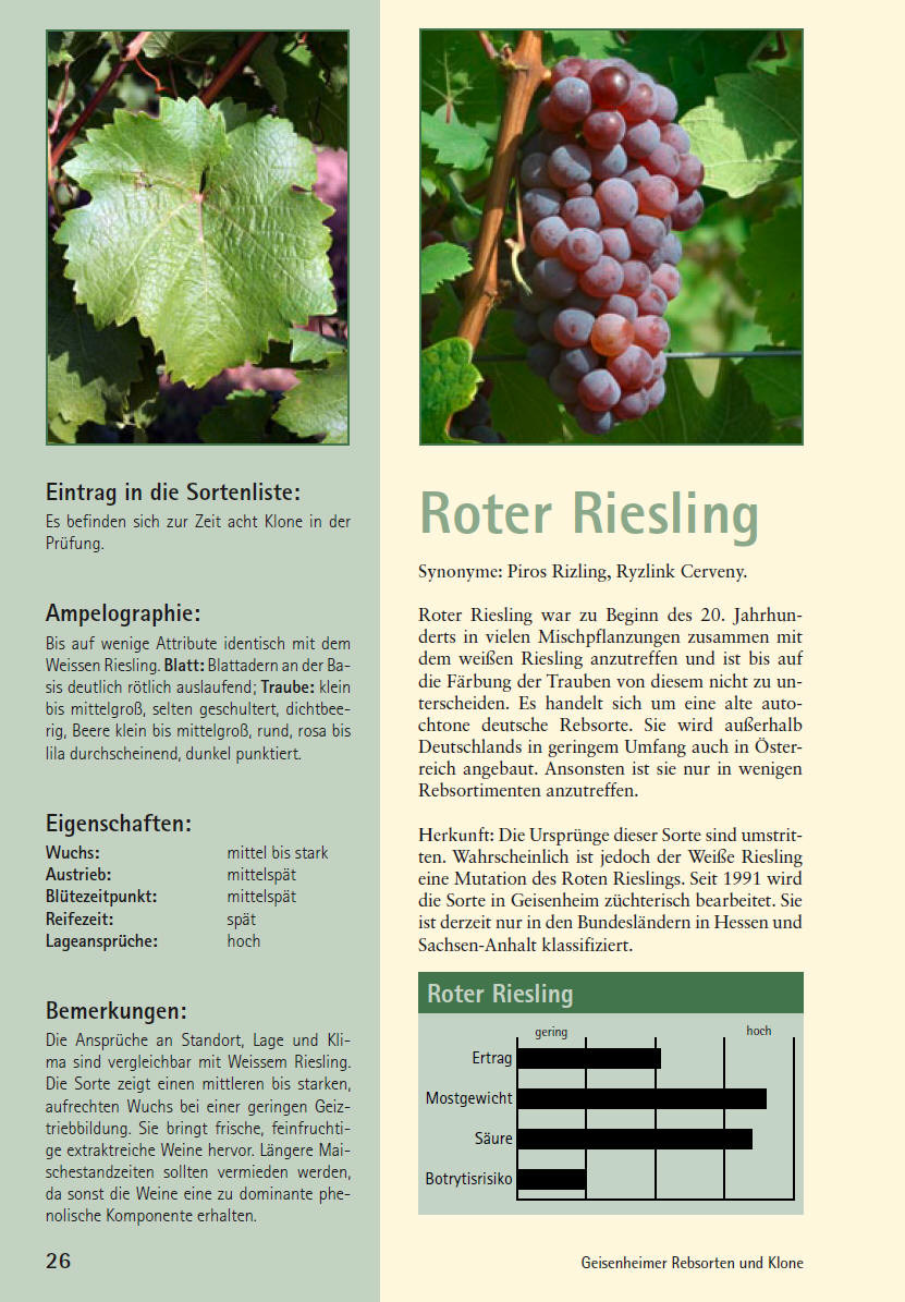 Roter Riesling - Rebschule Müller