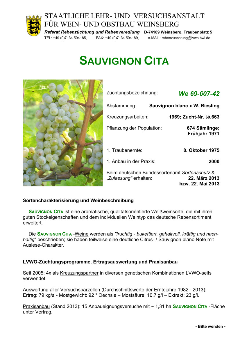 Sauvignon Cita - Rebschule Müller