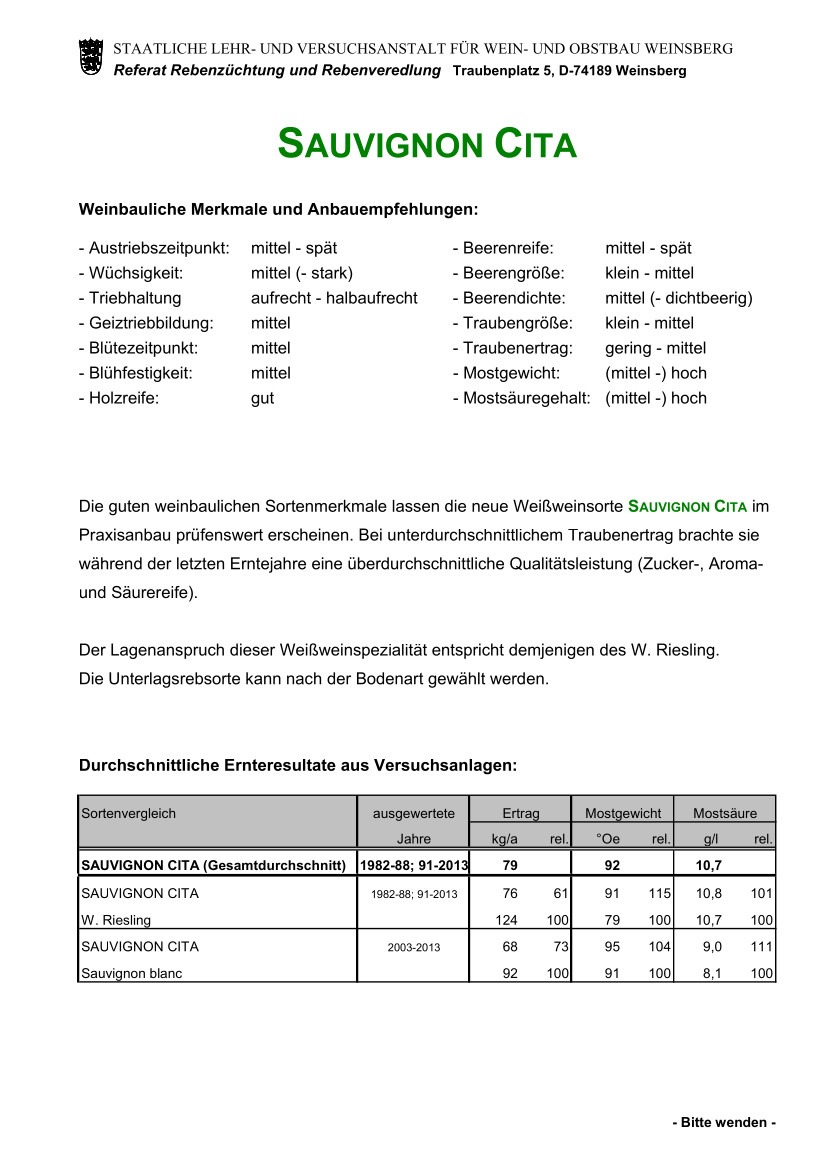 Sauvignon Cita - Rebschule Müller