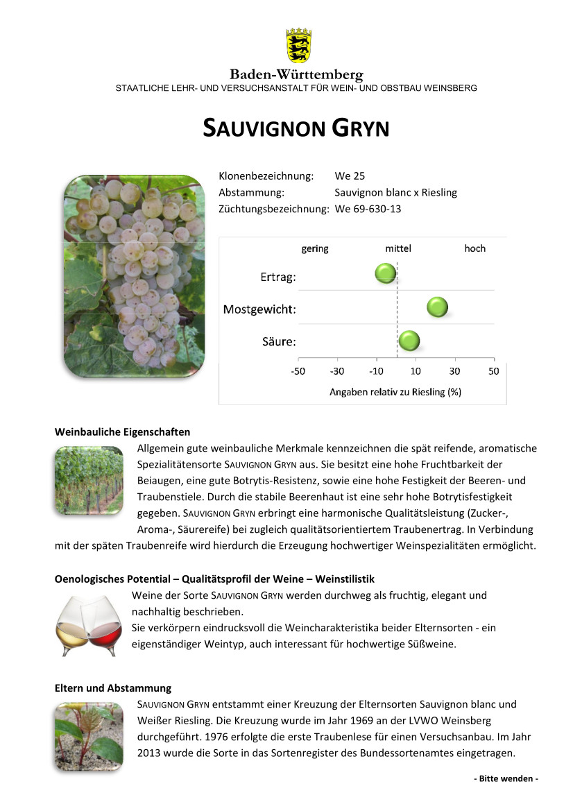 Sauvignon Gryn