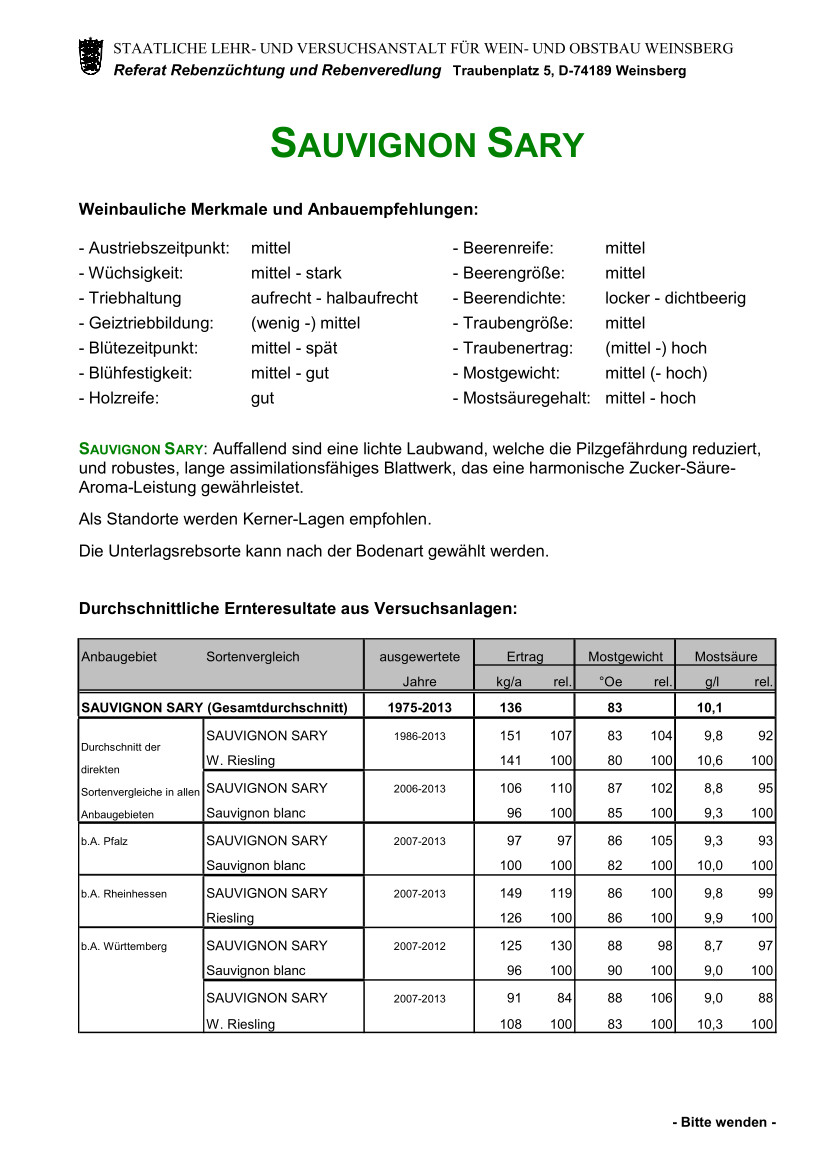 Sauvignon Sary - Rebschule Müller