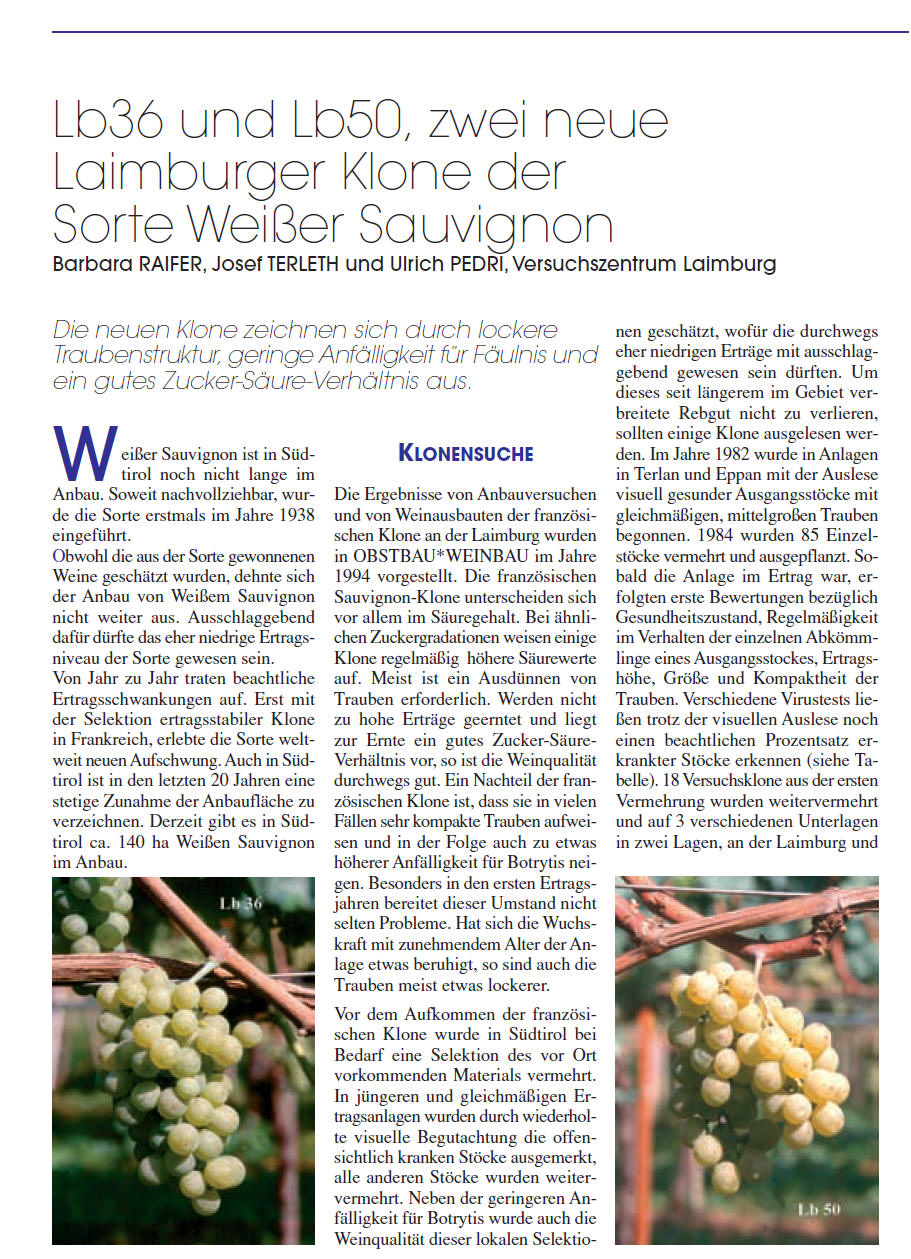 Sauvignon blanc Lb36 und Lb 50