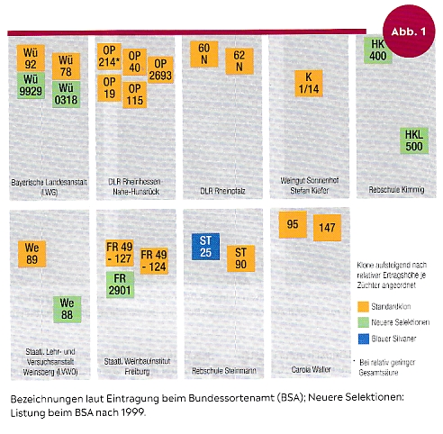 Silvaner Weinmagazin - Rebschule Müller