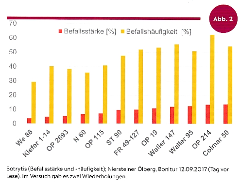 Silvaner Weinmagazin - Rebschule Müller