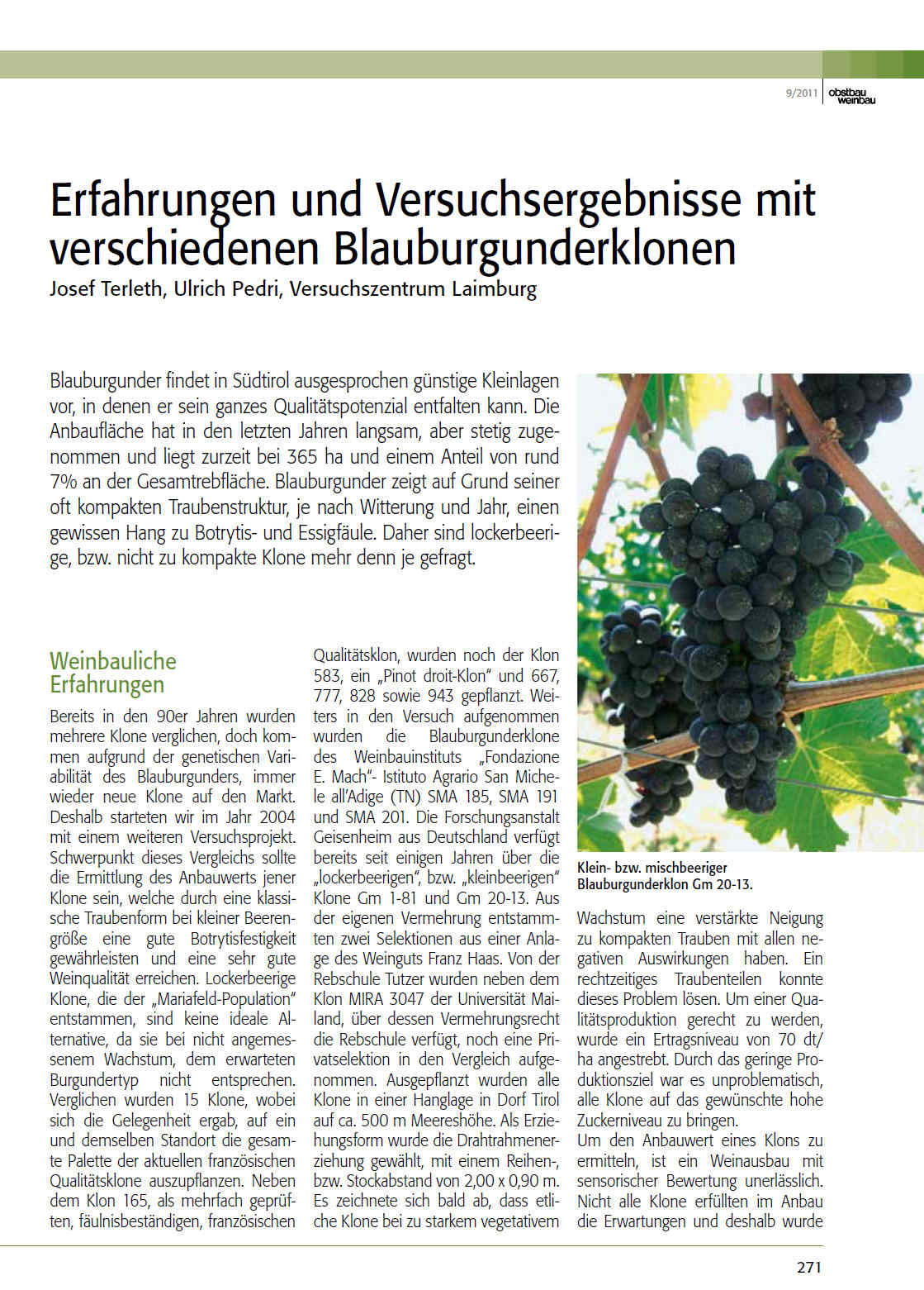 Spätburgunder