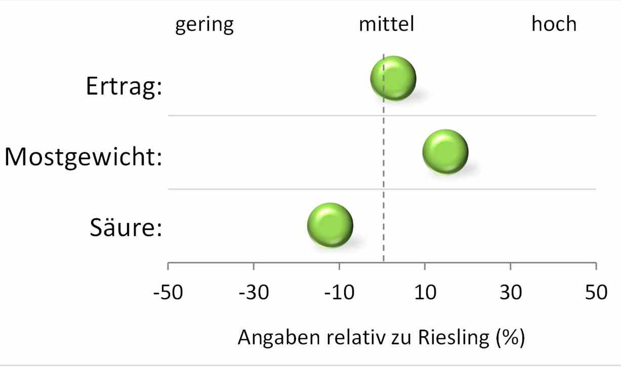 Veritage - Rebschule Müller