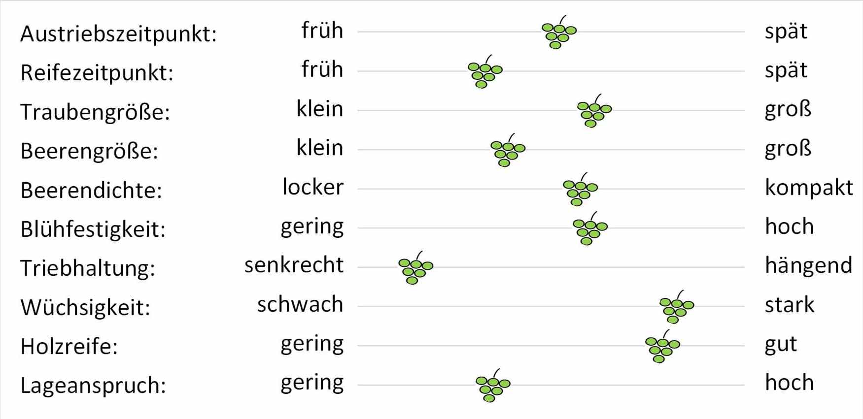 Veritage - Rebschule Müller