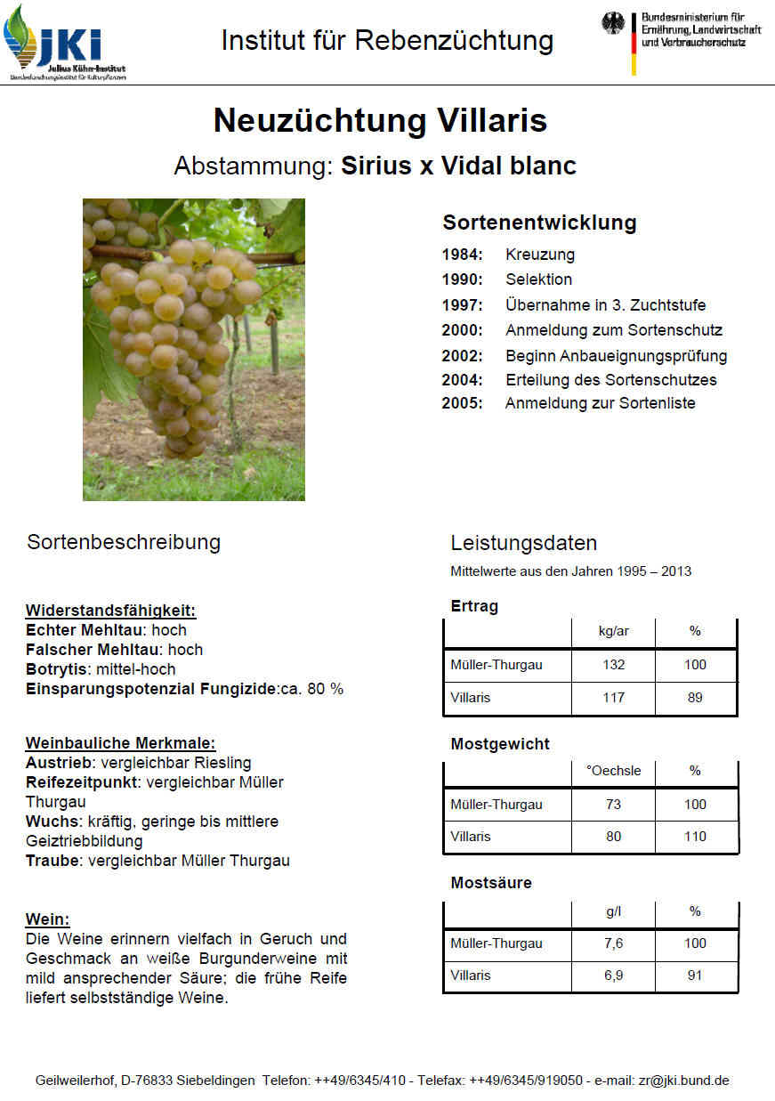 Villaris - Rebschule Müller