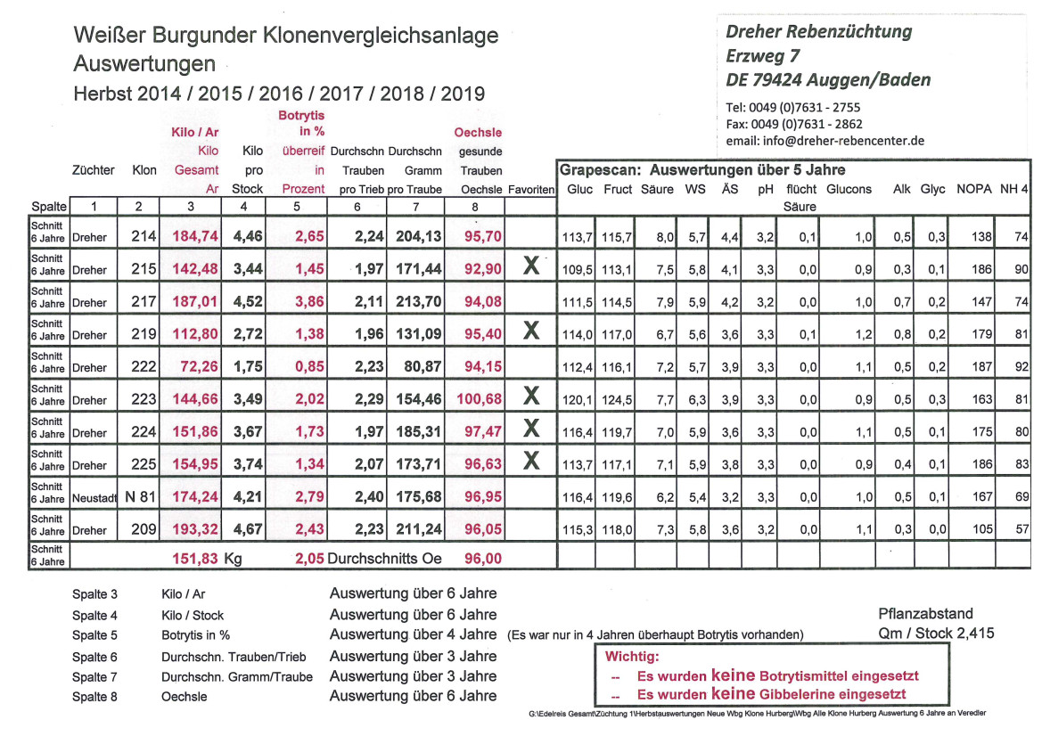 Weissburgunder Dreher